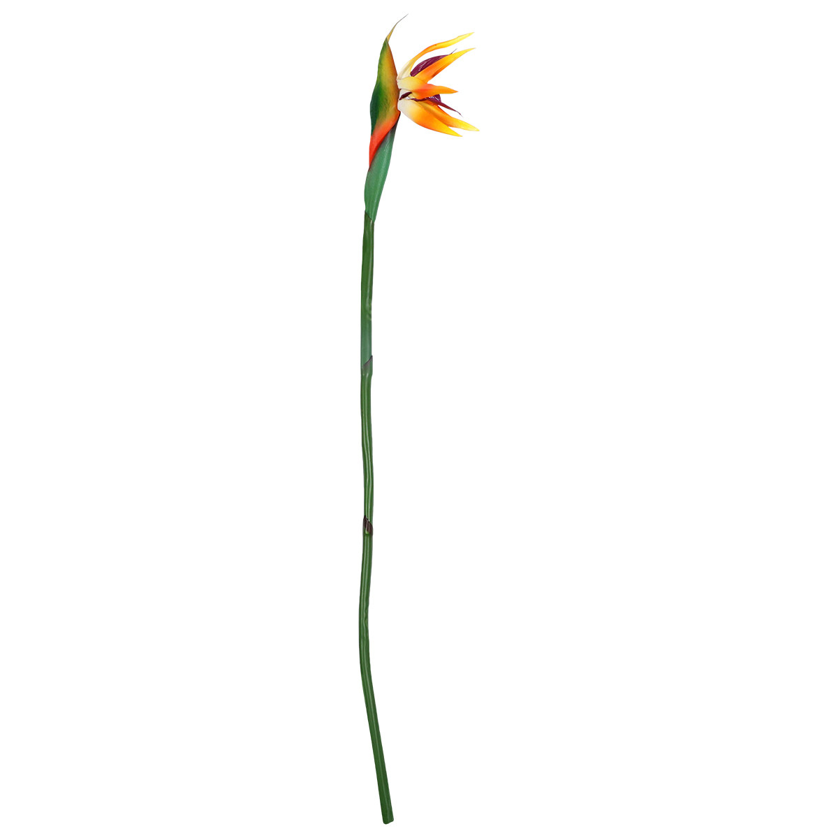 Real Touch Faux Strelitzia Flo - Bird Paradise Strelitzia review and price