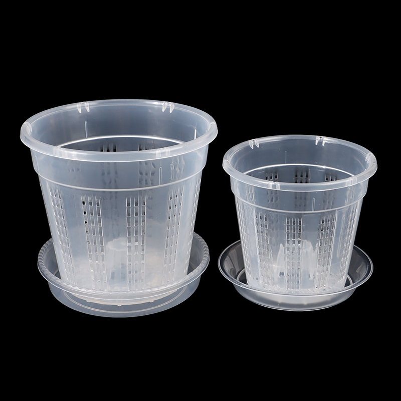 Household Garden Planter Hollo - Aloe Vera Pot review and price
