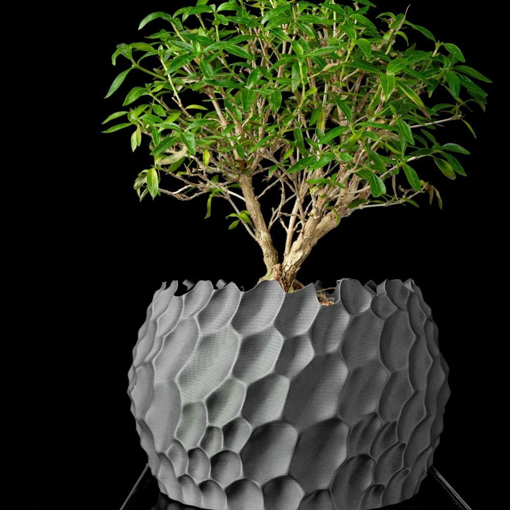 Textured Flower Pot Irregular  - Aloe Vera Pot review and price