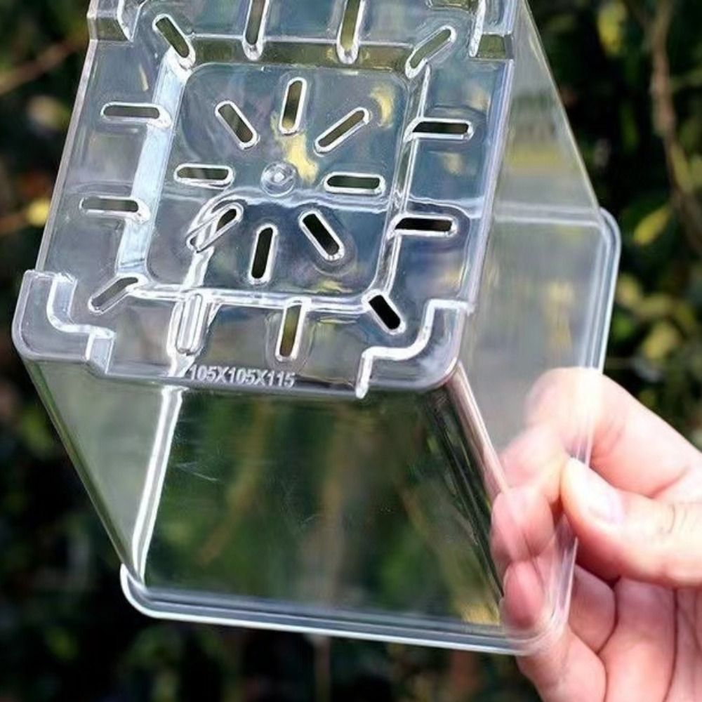 Transparent Material Acrylic P - Aloe Vera Pot review and price